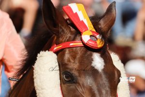 Contrada di Valdimontone, il 27 marzo l'assemblea ordinaria