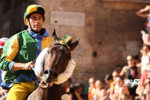 Palio di Siena, Scompiglio: "La mia corsa si è decisa al canape, dopo 40' di mossa il cavallo era finito"