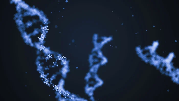 Sindrome di Alstr&ouml;m, studiosi Universit&agrave; di Siena co-autori di una ricerca sulla malattia rara