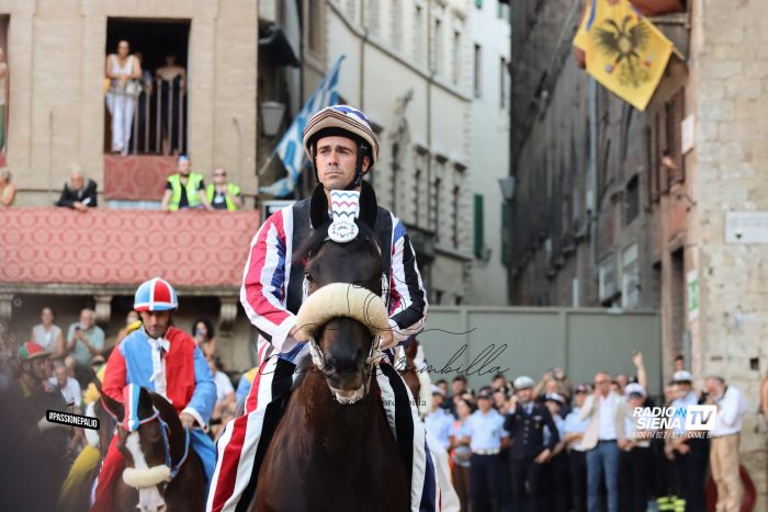 Palio di Siena, Bellocchio: "Mi aspettavo di pi&ugrave; da me piuttosto che dalla cavalla che era all'esordio"