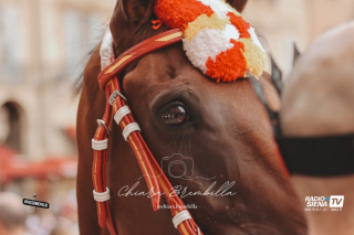 CORTEO DELLA VITTORIA VALDIMONTONE PALIO AGOSTO 2025 (41)