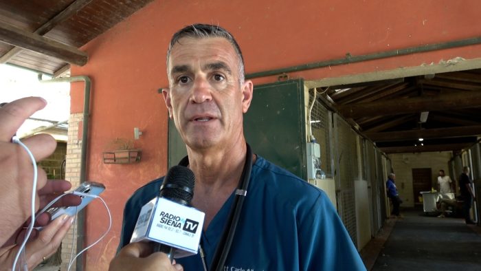 Palio di Siena: due giorni di controlli veterinari alla clinica del Ceppo