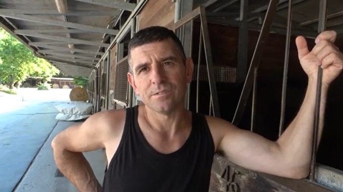 Palio di Siena: Dino Pes: "Viso d'Angelo cavallo esperto e preparato alla perfezione"  .