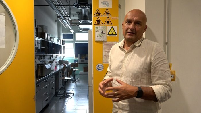 Zanzare: le popolazioni senesi non sono ancora resistenti agli insetticidi e non presentano virus pericolosi per la salute