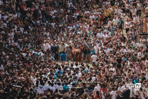 Palio di Siena, agosto 2025: Le emozioni dell'Assegnazione - La Gallery