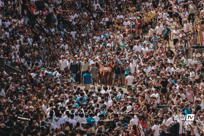 Palio di Siena, agosto 2025: Le emozioni dell'Assegnazione - La Gallery