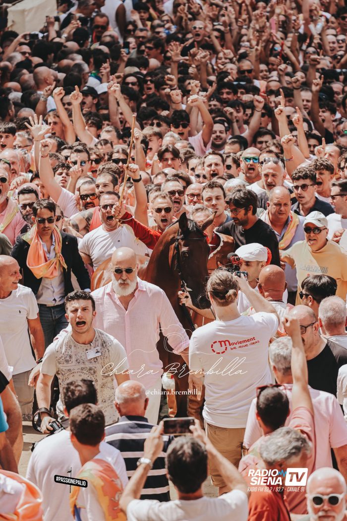 Palio di Siena, il Capitano del Valdimontone, Aldo Nerozzi: "Credo in Gingillo"