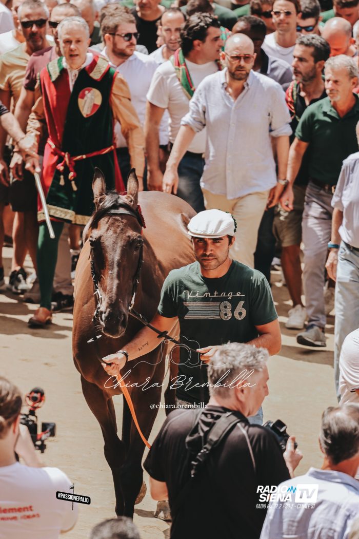 Palio di Siena, il Capitano del Drago, Jacopo Gotti: "L'accoppiata deve formarsi per arrivare al 16 agosto al top"