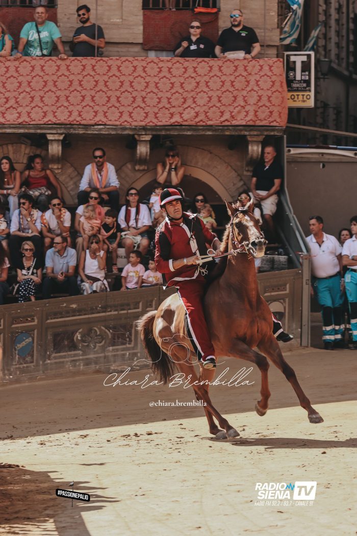 Palio di Siena: Benitos ha preso una botta in corsa, ecco il motivo di una prestazione meno brillante