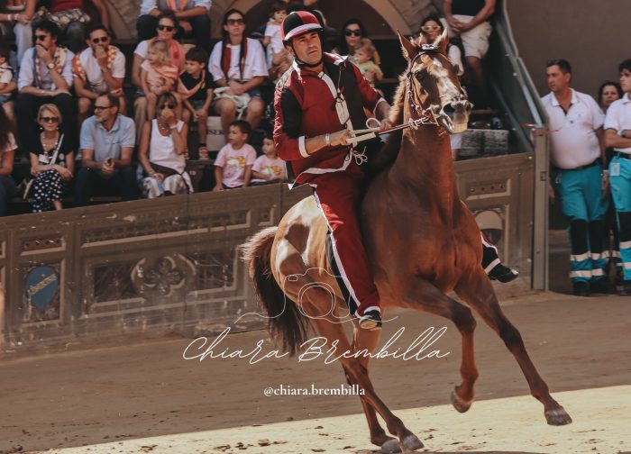 Palio di Siena: Benitos ha preso una botta in corsa, ecco il motivo di una prestazione meno brillante