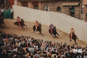 Palio 2025, liquidati rimborsi e compensi ai proprietari dei cavalli