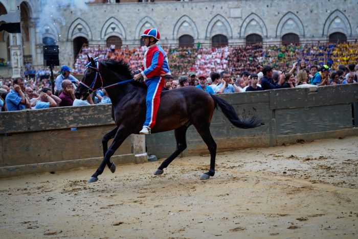 Palio di Siena 16 agosto, la Pantera vince la prima prova