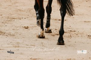 Palio 16 agosto, ecco le batterie della Tratta