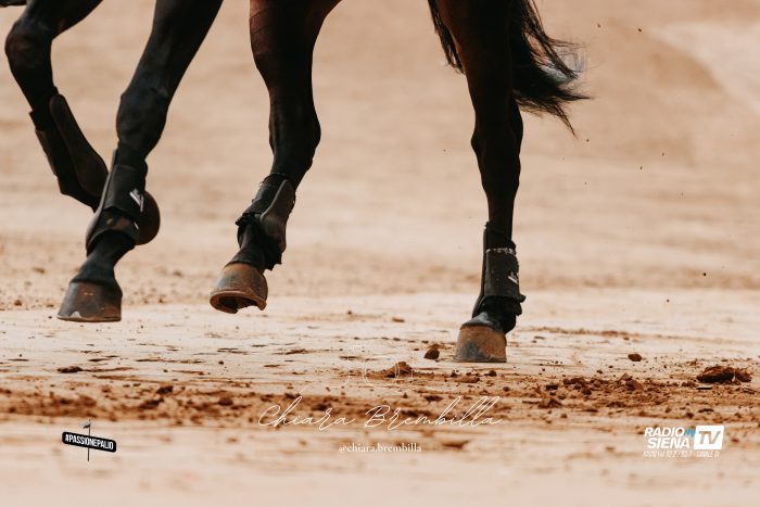 Palio 16 agosto 2025, sono 35 i cavalli ammessi alla Tratta