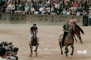 Palio 16 agosto, tutti presenti all'entrone i 35 cavalli ammessi alla Tratta