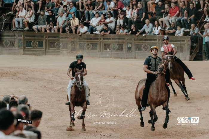 Palio 16 agosto, tutti presenti all'entrone i 35 cavalli ammessi alla Tratta