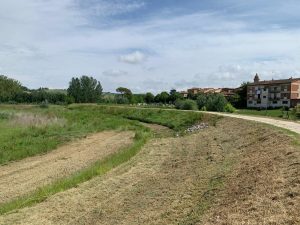 Buonconvento, manutenzione ordinaria per la sicurezza del fiume
