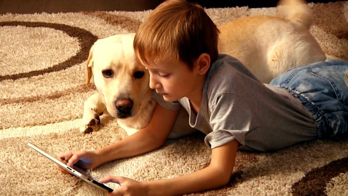 Il cane: oggi si celebra la giornata mondiale in suo onore