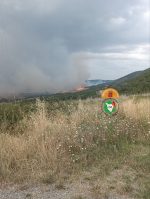 Sarteano, incendio in località Spineta a causa di un fulmine