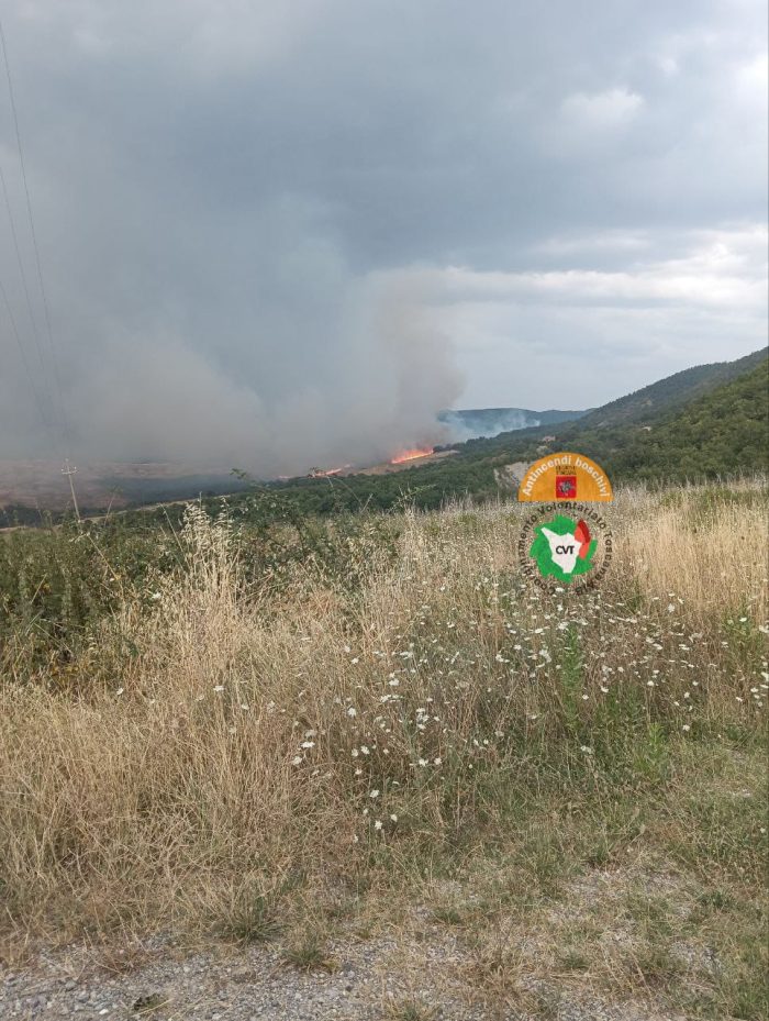 Sarteano, incendio in località Spineta a causa di un fulmine