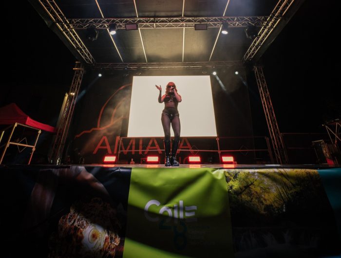 Fabbrica Cultura Festival: un successo che lancia Colle verso la Candidatura a Capitale Italiana della Cultura 2028