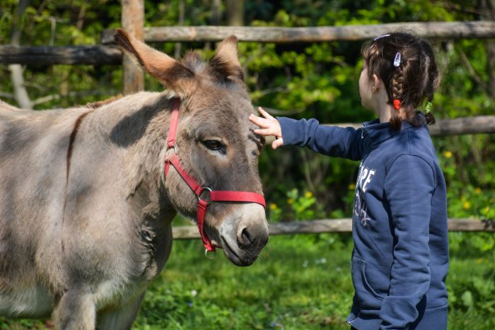 Torrita di Siena, al via progetto di pet therapy con gli asini per bambini e giovani in situazioni di fragilità