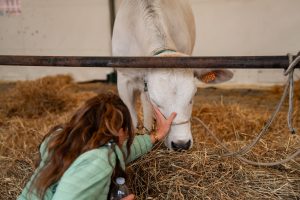 A Sinalunga torna la Fiera alla Pieve