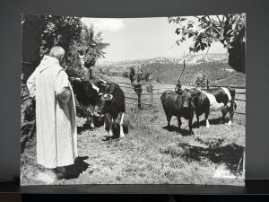 Monte Oliveto, 25mila visitatori per la mostra sul lavoro dei monaci dalle origini dell’Abbazia ad oggi
