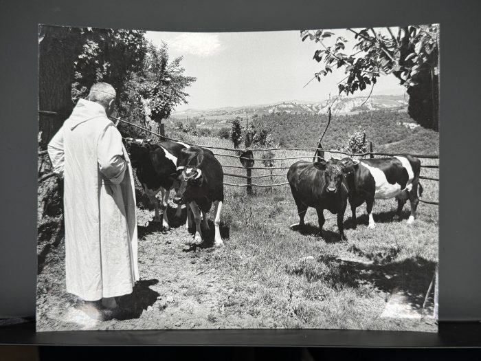 Monte Oliveto, 25mila visitatori per la mostra sul lavoro dei monaci dalle origini dell’Abbazia ad oggi