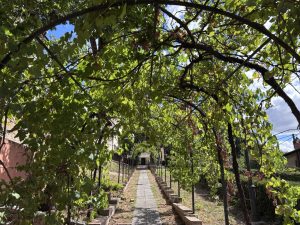 Siena, Mappe d’arte: a Villa Rubini teatro e creatività per famiglie