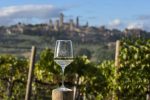 San Gimignano, nuovo Consiglio di Amministrazione del Consorzio del Vino Vernaccia