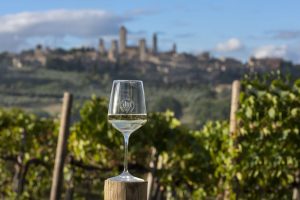 San Gimignano, nuovo Consiglio di Amministrazione del Consorzio del Vino Vernaccia