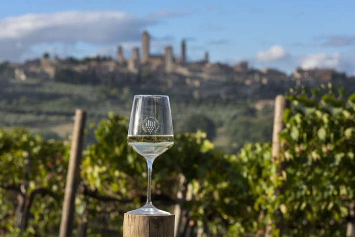 San Gimignano, nuovo Consiglio di Amministrazione del Consorzio del Vino Vernaccia