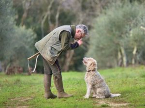 Mostra del Tartufo Bianco di San Giovanni d'Asso: annunciate le date e l'inizio della cerca