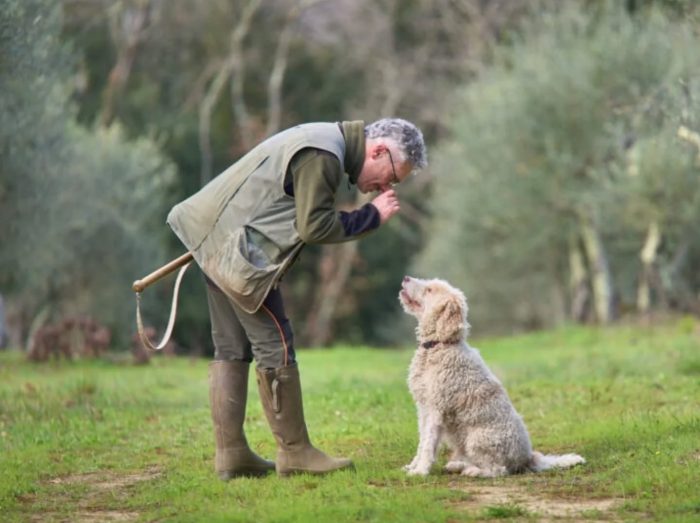 Mostra del Tartufo Bianco di San Giovanni d'Asso: annunciate le date e l'inizio della cerca