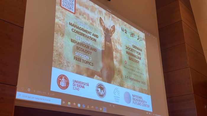 Università di Siena: fino al 5 settembre il congresso sui mammiferi selvatici e l'interazione con l'uomo