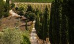 San Quirico d'Orcia, in e-bike con Gianni Bugno alla scoperta dei luoghi più iconici della Val d'Orcia
