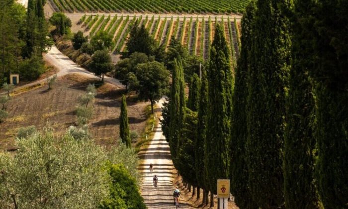 San Quirico d'Orcia, in e-bike con Gianni Bugno alla scoperta dei luoghi più iconici della Val d'Orcia