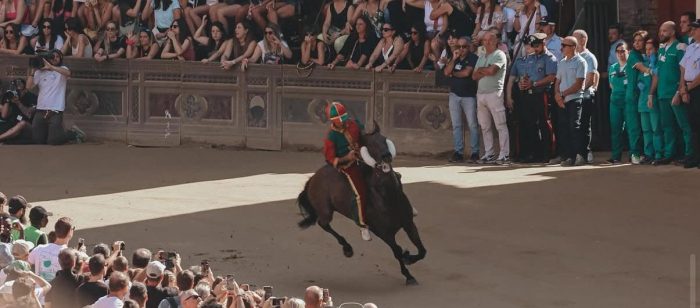 Palio, i cavalli Zenis e Gioia Pura lasciano la scuderia Milani e approdano da Tittia