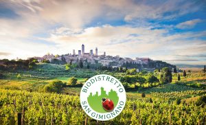 Festival della Terra di San Gimignano, una decima edizione di prestigio per il Biodistretto