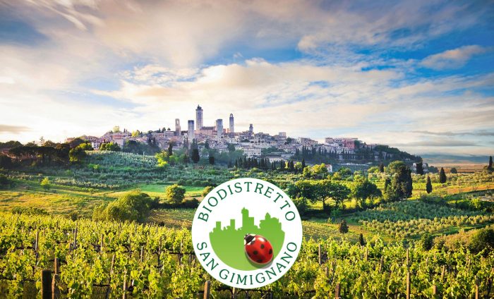 Festival della Terra di San Gimignano, una decima edizione di prestigio per il Biodistretto