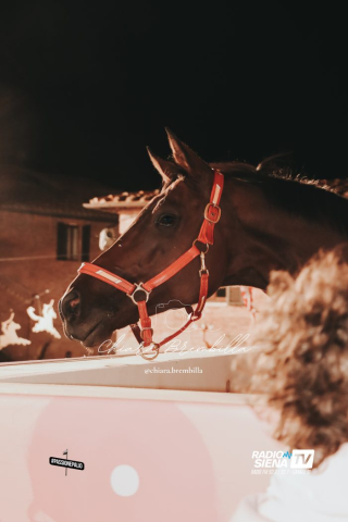 CENA VITTORIA VALDIMONTONE 2025 (18)