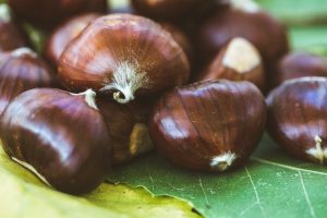 Abbadia San Salvatore: un nuovo weekend della Festa d’Autunno 2025