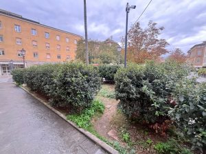 Decoro urbano a Siena, intervento straordinario di bonifica e controllo in piazza Gramsci
