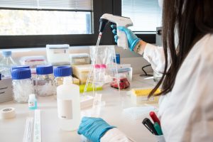 Siena: Fondazione TLS, approvato il bilancio 2024