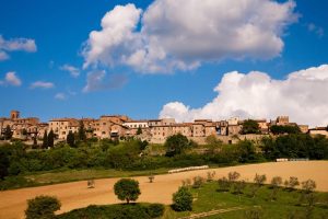 Nasce “Casole Divino”: una giornata dedicata ai vini e ai sapori del territorio di Casole d’Elsa