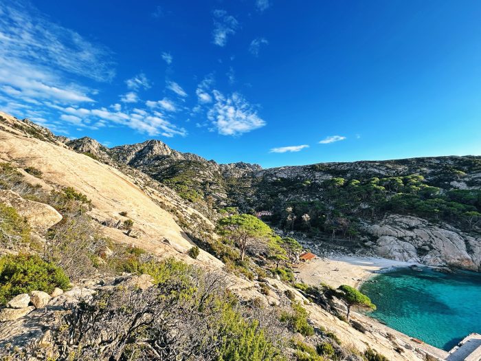 Montecristo, le ultime ricerche su flora e fauna all’Accademia dei Fisiocritici di Siena