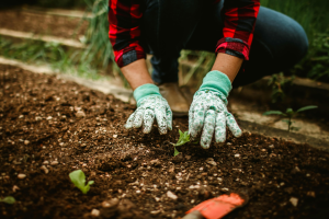 Orti urbani per l’inclusione sociale: al via il progetto rivolto ai giovani di Montepulciano