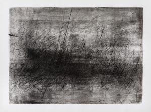 Le opere grafiche della senese Eugenia Vanni in mostra alla Fondazione Il Bisonte di Firenze