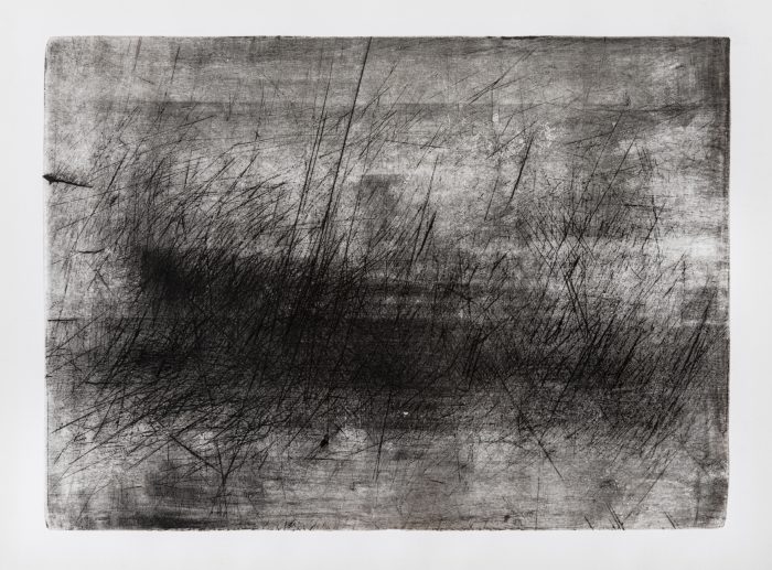 Le opere grafiche della senese Eugenia Vanni in mostra alla Fondazione Il Bisonte di Firenze